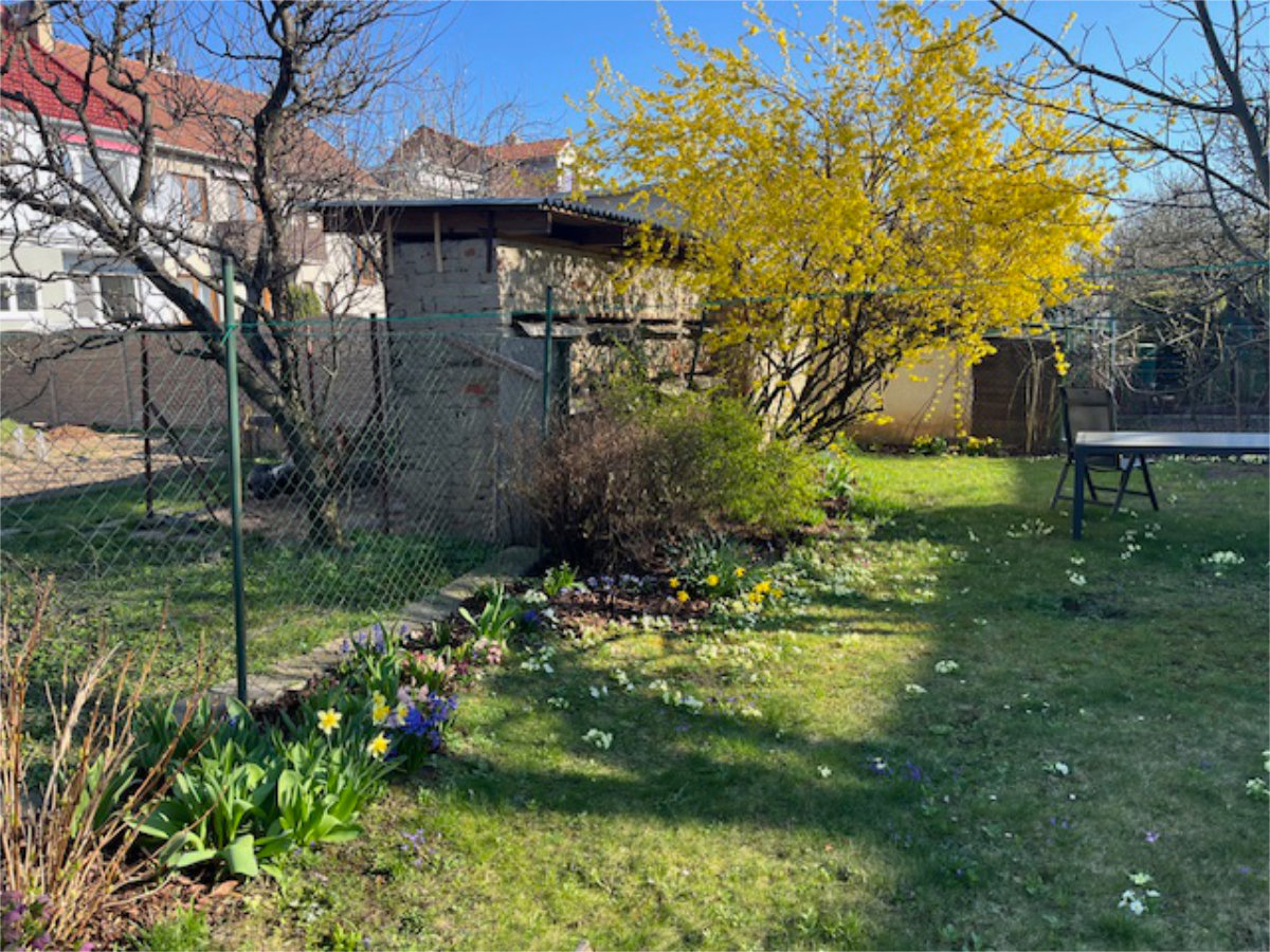 Detailní úprava záhonů