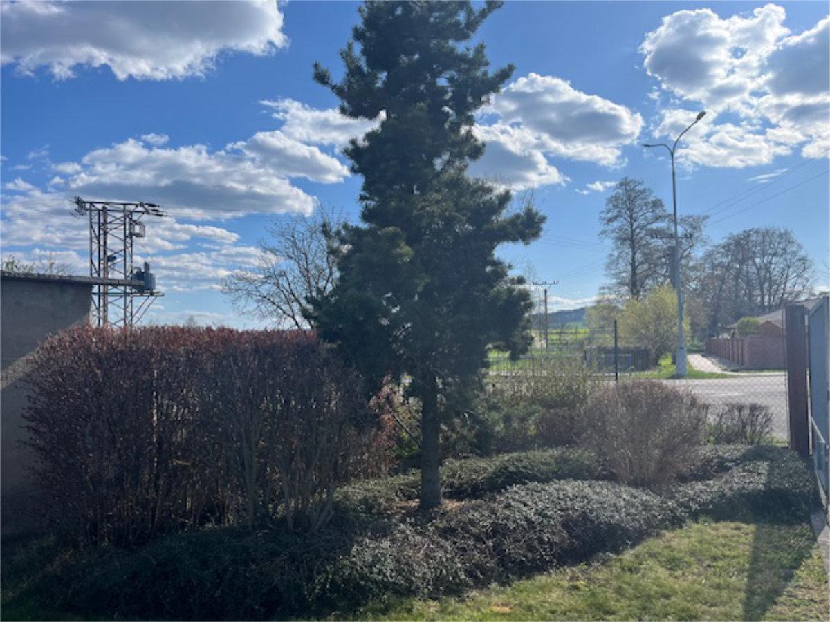 Detailní úprava záhonů