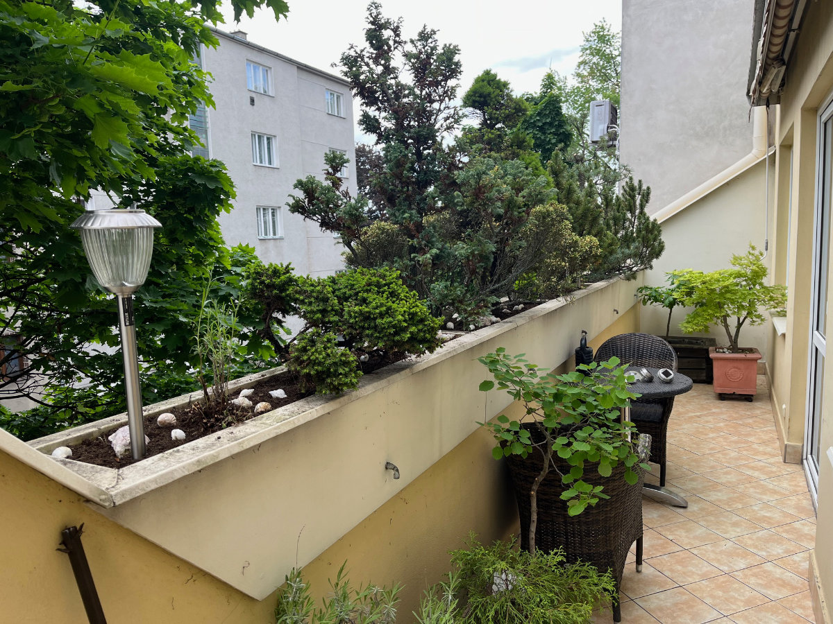 Detailní úprava záhonů